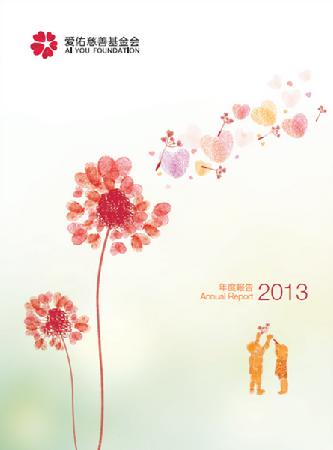 爱佑2013年报