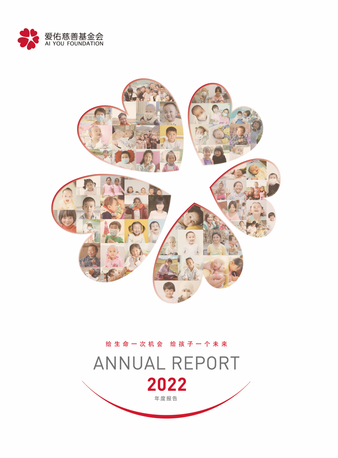 爱佑2022年年报